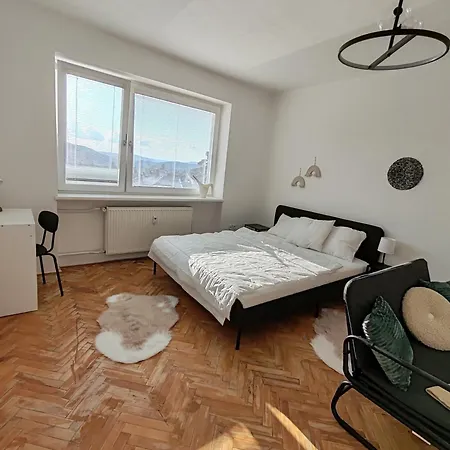 Apartman Brezinova Brno Exterior photo